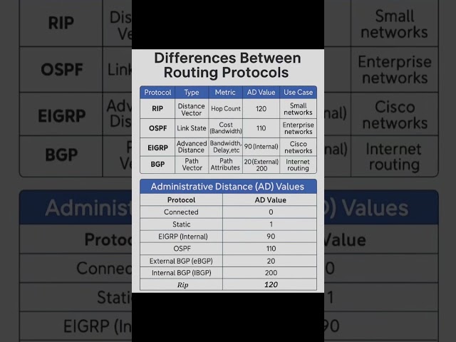 Routing Protocol Differences!!!✨