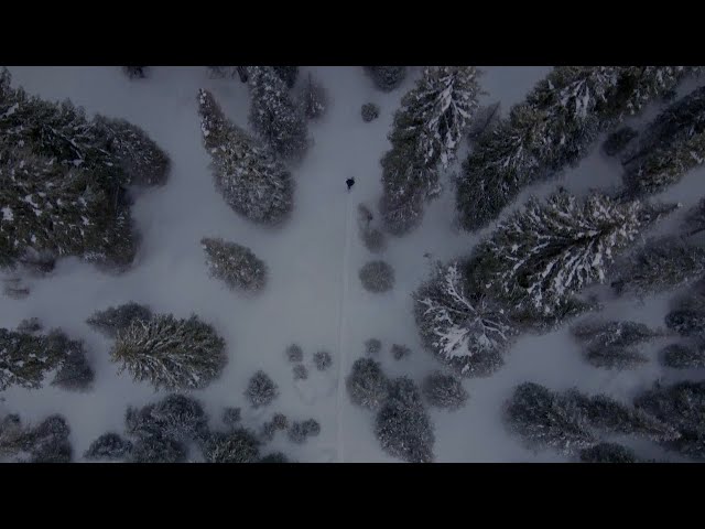 The Merciful | Official Trailer (2022 Movie)