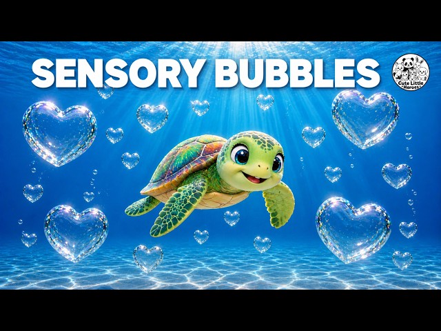 Sensory Bubbles & Calming Classroom Music | Autism & ADHD Support