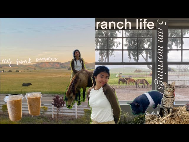 5AM MORNING RANCH ROUTINE