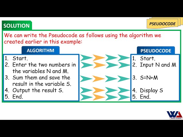 Basics of Algorithm and Pseudocode and the differences between them.