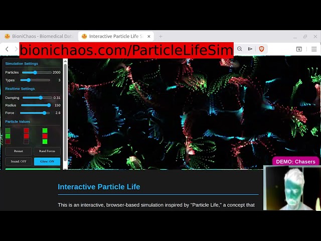 Coding Emergent Complexity: Particle Life Simulation Web App