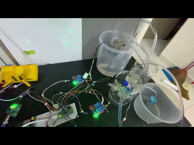 Building a Smart Water Recycling System (FYP Prototype)