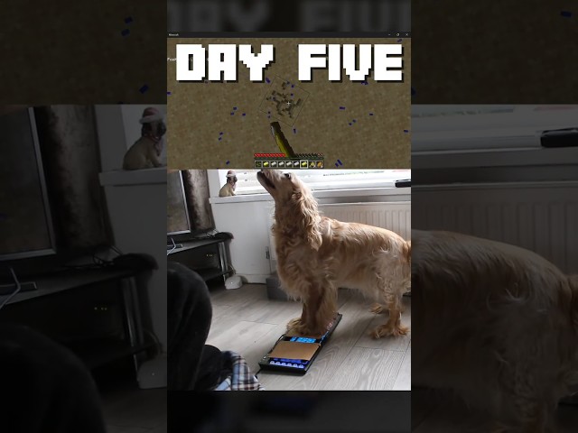 Can My Dog Defeat the Ender Dragon?