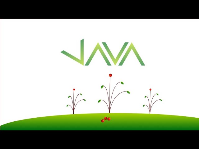 User Input: Java 11 For Complete Beginners 028