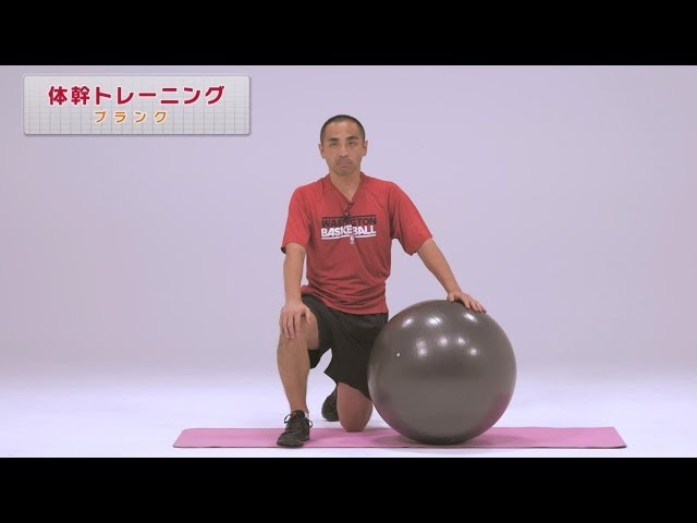 からだのホント 「エクササイズ」パート（サンプル）