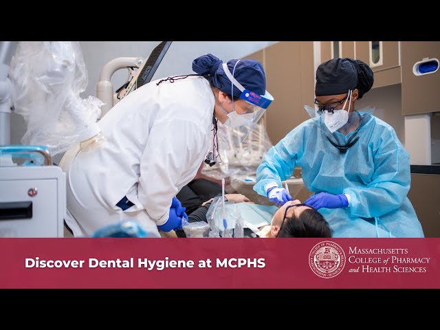 Discover Dental Hygiene at MCPHS