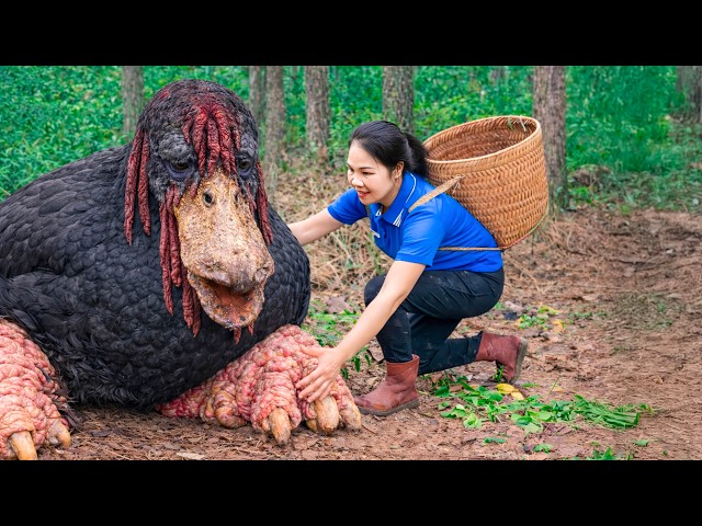 Live from Vietnamese Village 🌿 | Catching Honeycomb Ducklings & 365 days off the grid