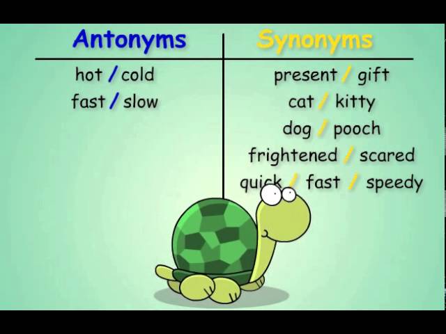 Antonyms and Synonyms