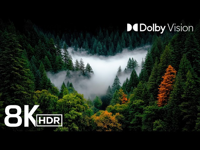 MOST STUNNING 8K HDR VIDEO YET | DOLBY VISION 60FPS FOR 4K/8K TVS