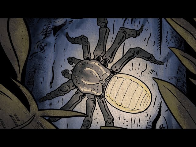 Bizarre Bioluminescent Cryptids