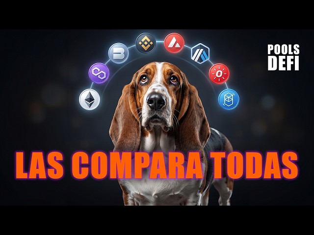 El Rastreador DeFi que Encuentra la Mejor Pool