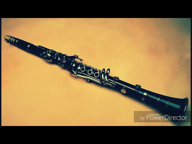 INSTRUMENTALA 2026