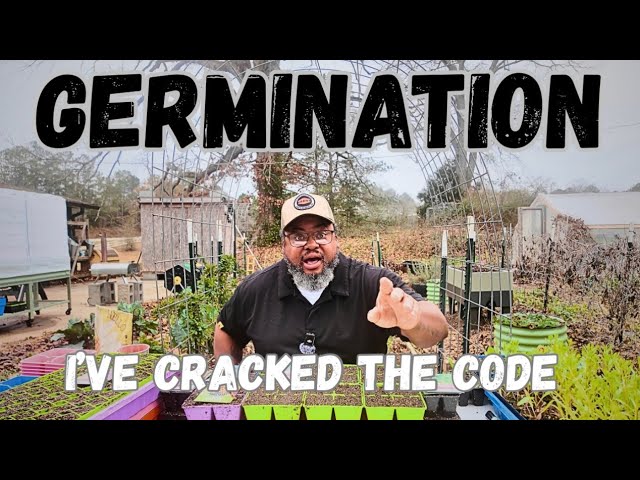 Seed Starting Isn’t Hard — But This Part Trips Everyone Up