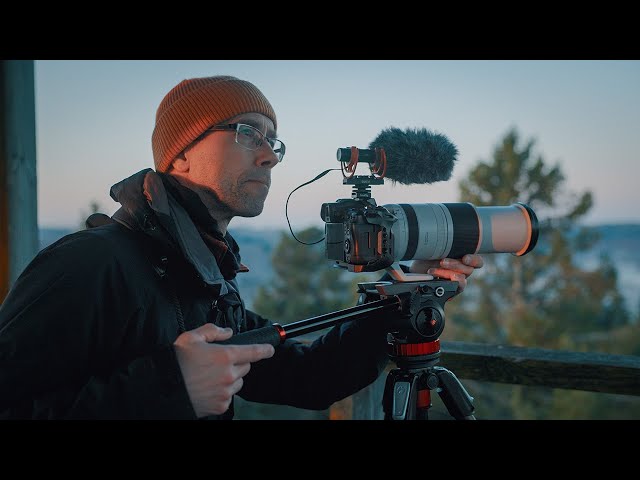 Filming Birds: A Forest Tower Morning in Finland | Birdsong & Cinematic Nature