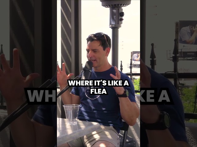 Flea Market of Ideas #vegastech #techecosystem #techcommunity