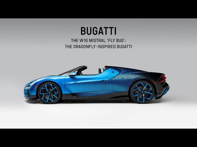 The W16 MISTRAL 'Fly Bug': The Dragonfly‑Inspired Bugatti