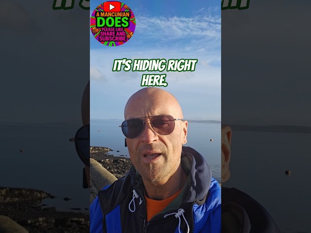 Your Body Is Lying To You 😱: #questioneverything #comehome #anytime #traumahealing