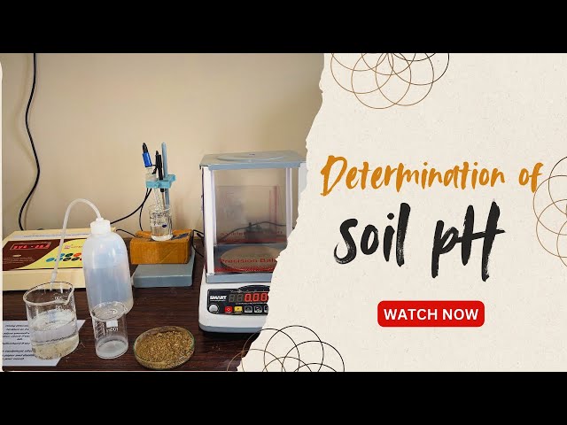 Determination of soil pH using pH meter | Step by step tutorial |
