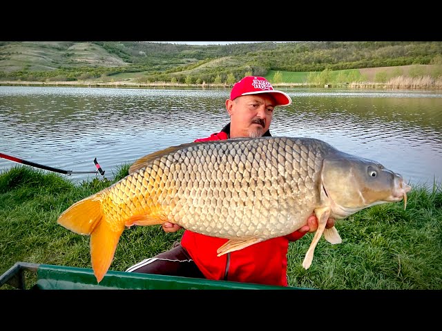 Method feeder Ultra Light for Carp – Adrenaline and Pleasure