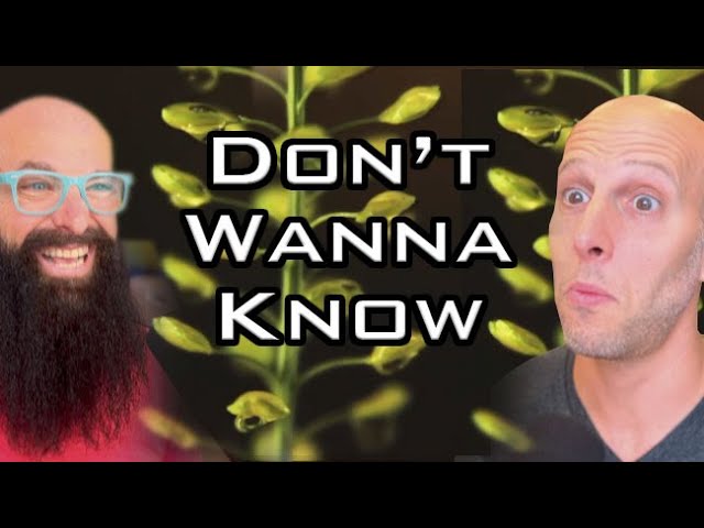 Don't Wanna Know - Jeff Lieberman Compass vs Map | Jay Silver's Gigahand Dreams Podcast #1