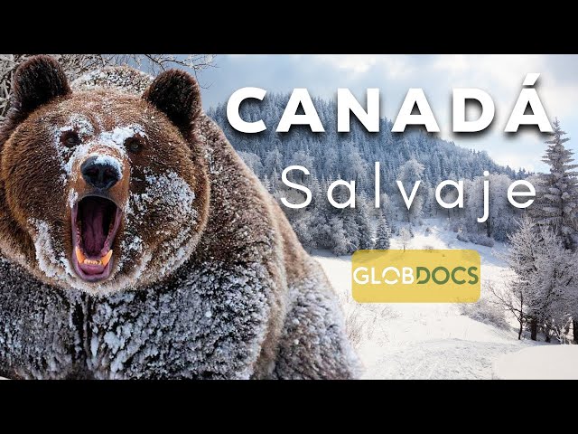 CANADA: A Brutal Territory [Full Documentary]