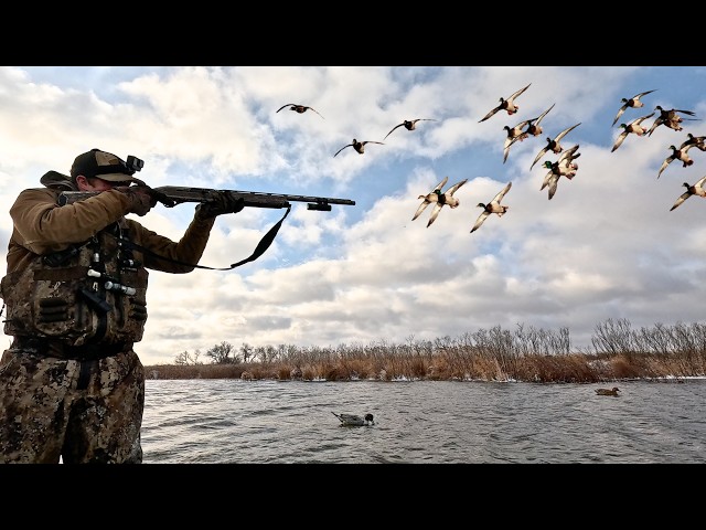 Solo Duck Hunting A 15 Yard Wide Creek (Limited Out)