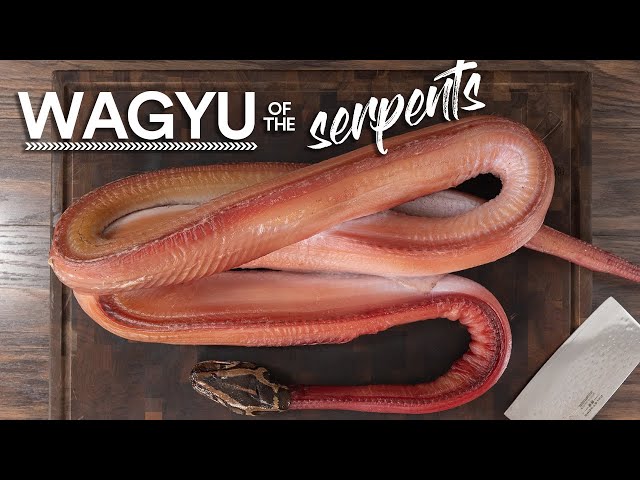 I Dry-Aged the WAGYU of the SERPENTS and ate it!