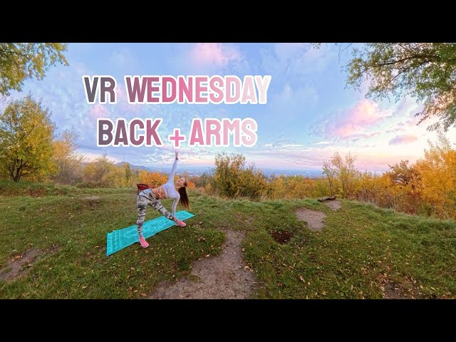 WEDNESDAY: Back & Arms Virtual Reality (VR) Workout for Posture Improvement |MORNING PERSON|