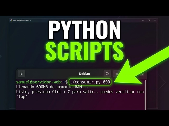 Como usar argumentos en un script de python (curso parte 7) #debian #linux
