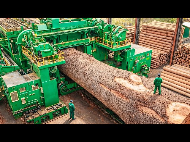 Inside the Largest Wood Sawmill Factory – How Plywood Is Made From Logs to Table (Full Process)