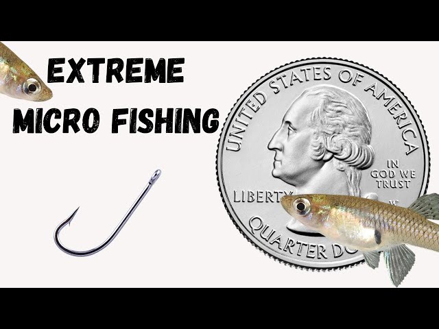Extreme Micro Fishing (Catching a fish smaller than a quarter)