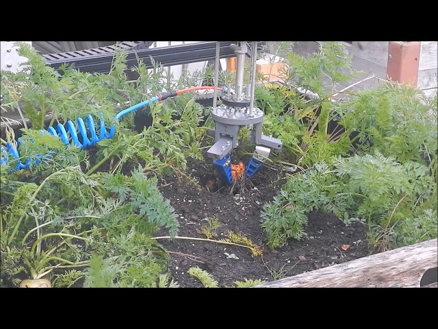 Farmbot harvests first carrot