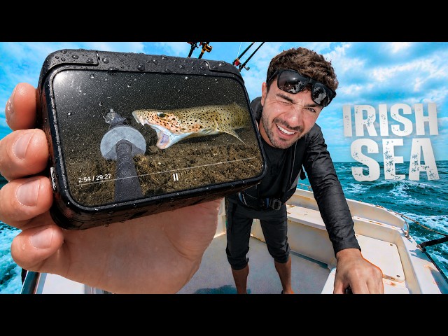 I Dropped a Camera to the Bottom of the Irish Sea