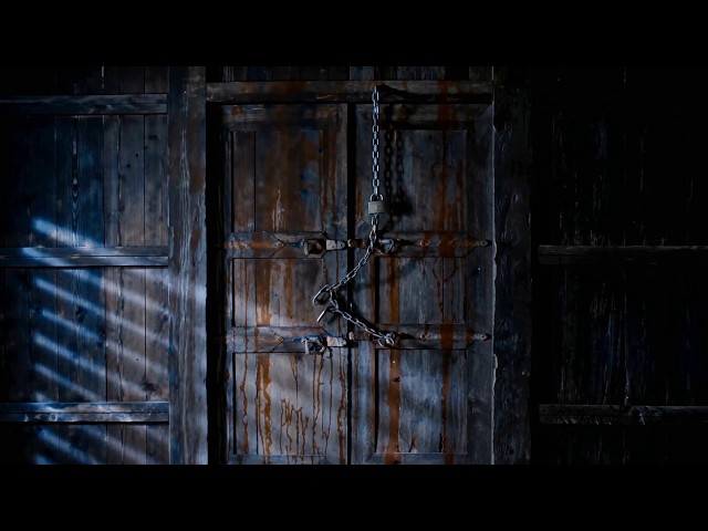 THE ROOM FINAL CUT