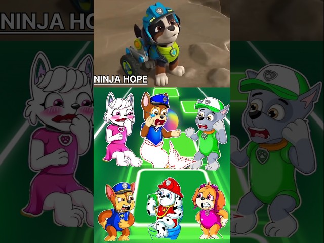 PAW Patrol:  - Zuma - Skye 🆚  Marshall - Ryder 🆚 Chase - Rocky Tiles Hop EDM Rush 🎧🤍 #2638