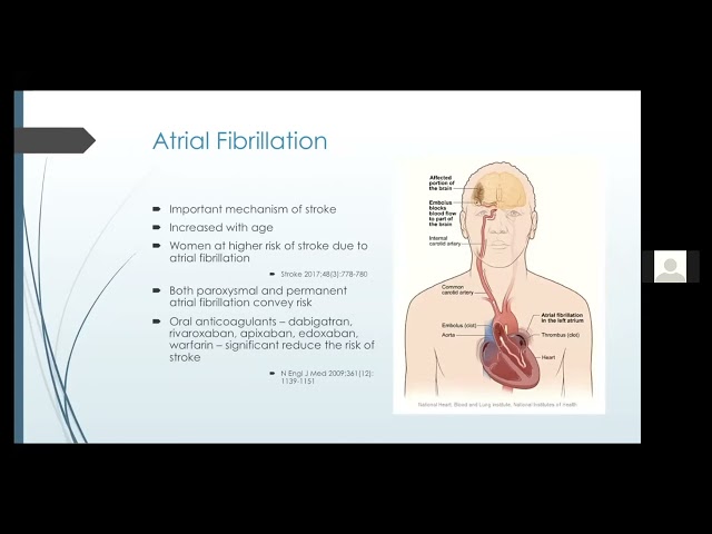 Secondary Stroke Prevention with Dr. Paul Lleva