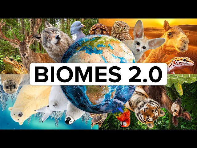 Los 14 biomas (animales, ecología y sitios de la UNESCO)