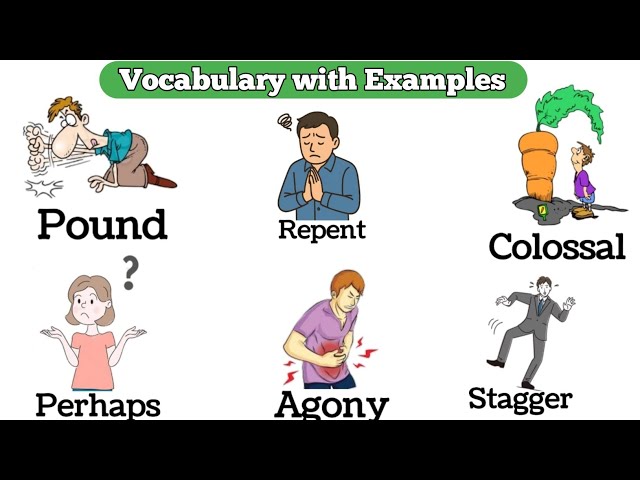 Daily Use English Words with Meaning and Examples | Vocabulary  | Learn English Vocabulary |