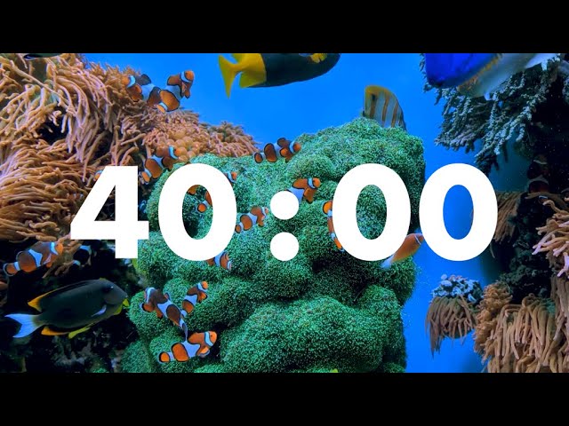 Productive Ocean Expedition: 40-Minute Underwater Fish Timer for Goal Attainment