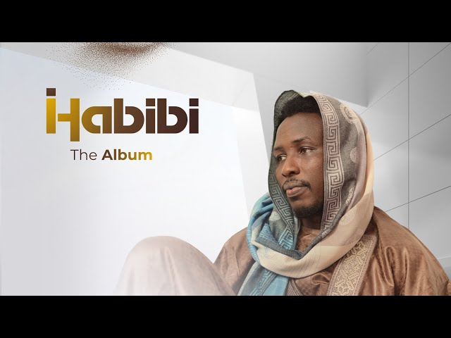 Zaki Dan Yaya - Ina sonka Habibi [Official Audio]