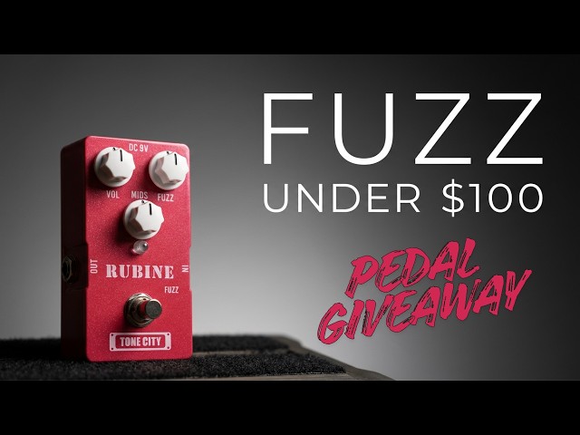 This is the Best Fuzz for Under $100! - TONE CITY Rubine Fuzz Review