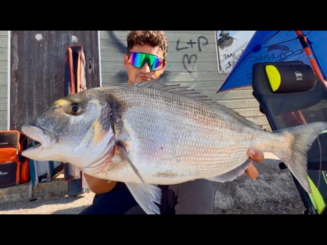 ¡DORADA GIGANTE a SURFCASTING! Dos días de búsqueda | Material JUCO