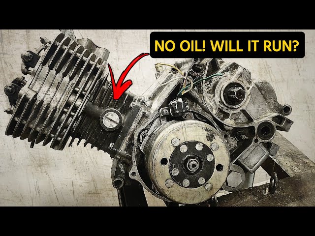 Can This Abandoned Honda Engine Still Run? Unbelievable Result!