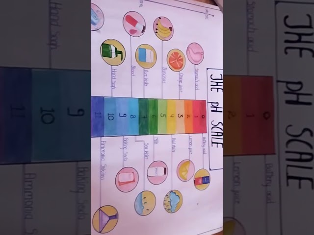 Thr pH scale chart 💡idea #chart#chemistry #school
