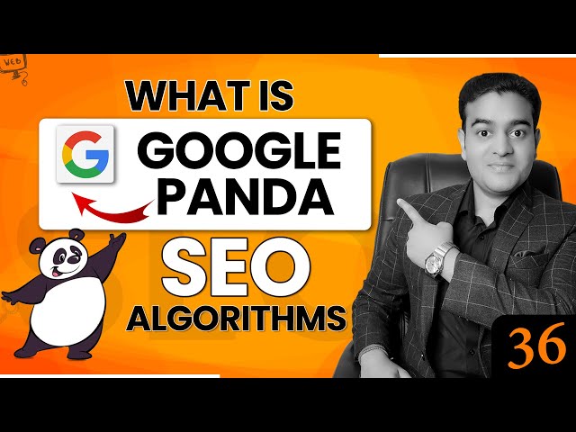 What is Panda Update in SEO | Google Panda Algorithm Tutorial in English | #pandaupdate #seocourse