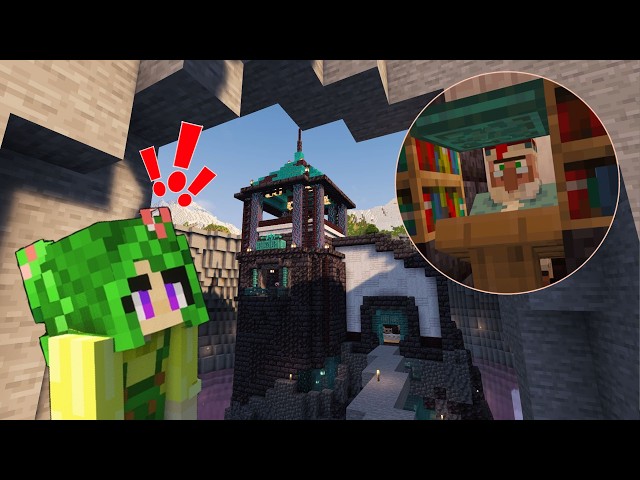 About the library - Survival Let's Play