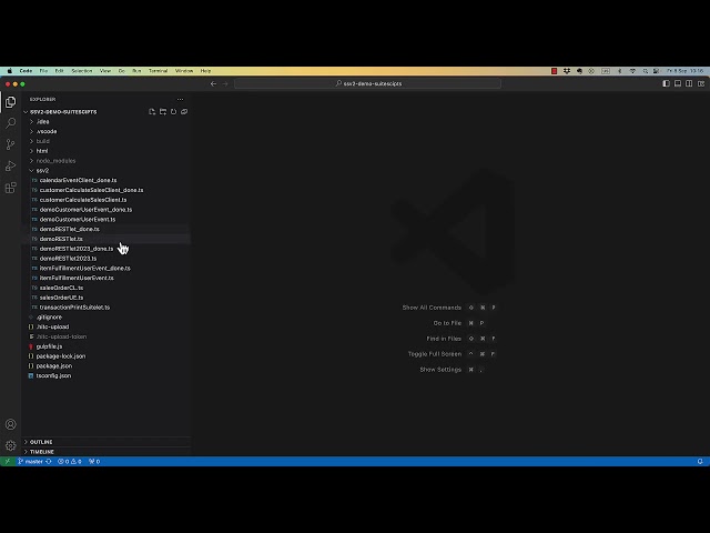 NetSuite RESTlet Demo - Head in the Cloud Development