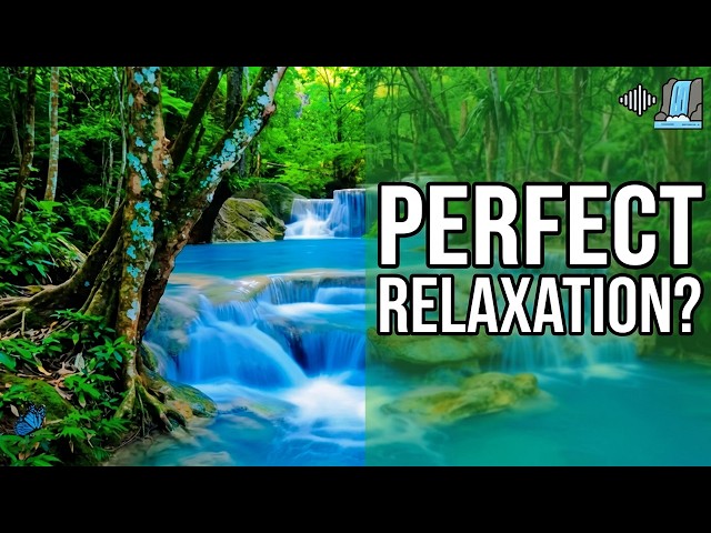 Is This The Most Relaxing Sound? | Deep Forest Waterfall | Math Master AI Shorts