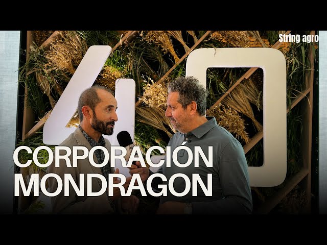 Uno de los modelos cooperativos más importantes del mundo | con Ander Etxeberria 